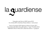 SANNIO TOP WINES 2014 - laguardiense
